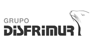 Disfrimur_Logo