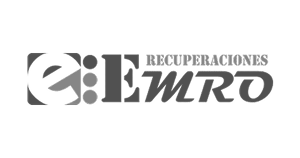 Emro_Logo